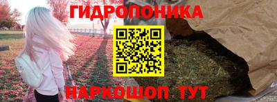 сатива Нальчик