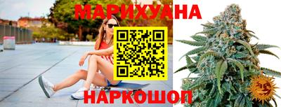 сатива Нальчик