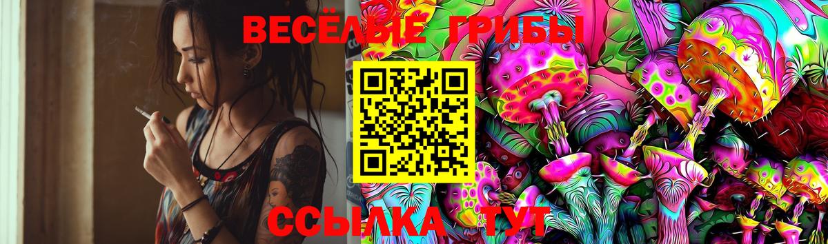 Галлюциногенные грибы MAGIC MUSHROOMS Тавда