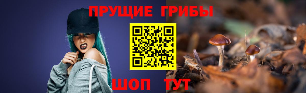 Галлюциногенные грибы Psilocybe  закладки  Тавда  Галлюциногенные грибы MAGIC MUSHROOMS  Вход с VPN 